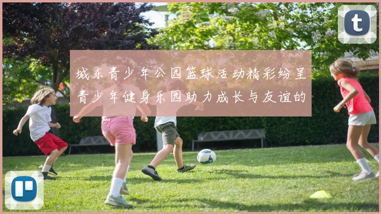 城东青少年公园篮球活动精彩纷呈青少年健身乐园助力成长与友谊的碰撞