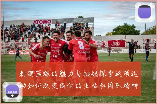 刺猬篮球的魅力与挑战探索这项运动如何改变我们的生活和团队精神