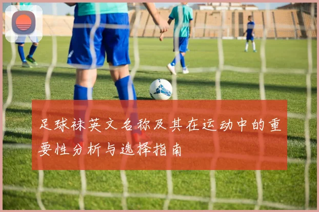 足球袜英文名称及其在运动中的重要性分析与选择指南