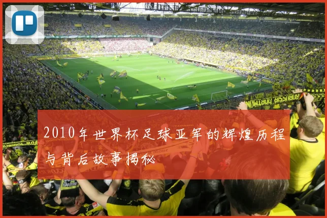 2010年世界杯足球亚军的辉煌历程与背后故事揭秘